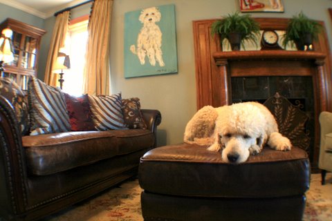 interior decorator in Denver CO